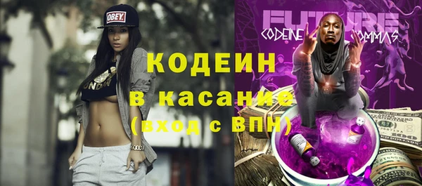ешки Арсеньев