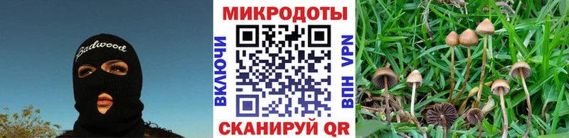 Галлюциногенные грибы GOLDEN TEACHER  Соликамск 